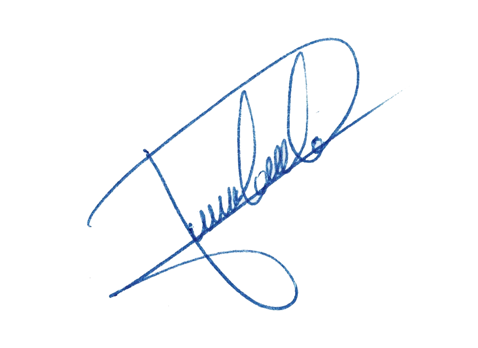Firma